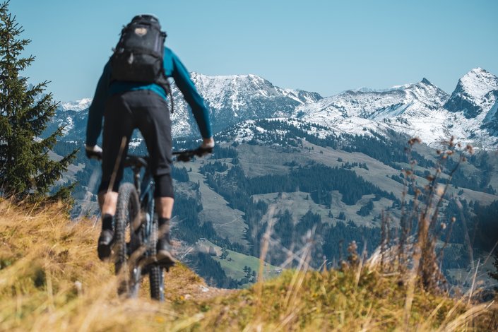 Biker von hinten