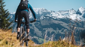 Biker von hinten