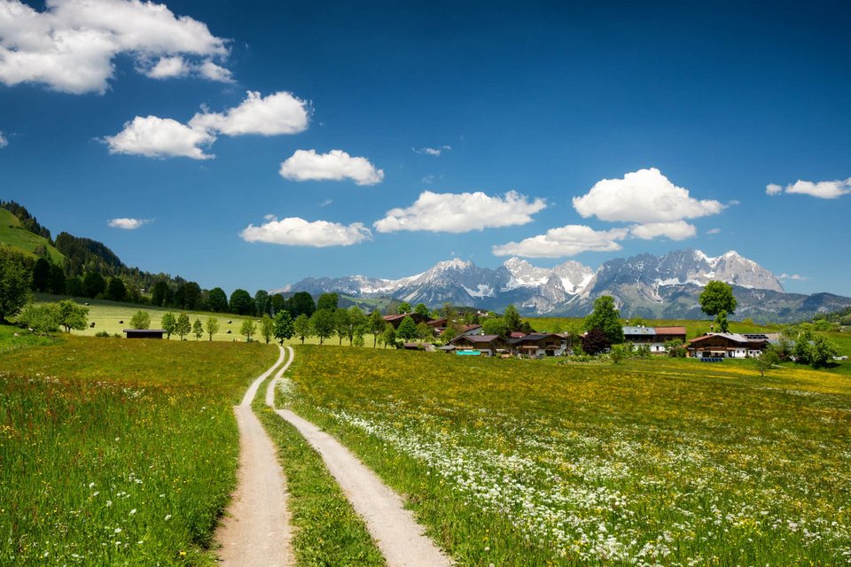 Weg durch Felder