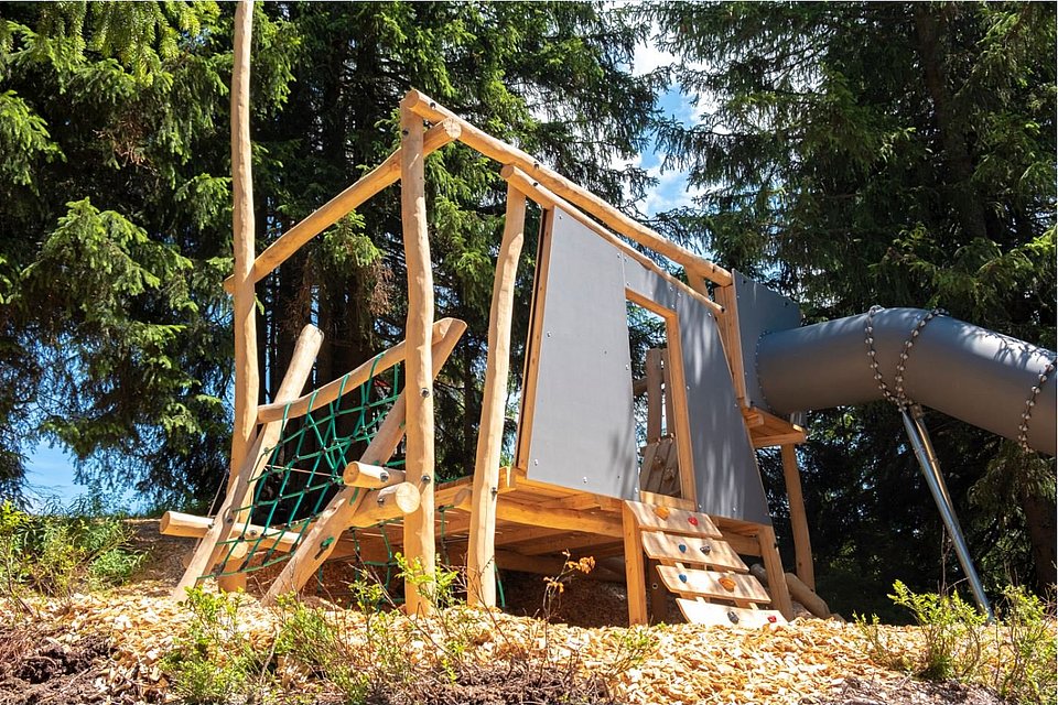 Climbing frame in the forest