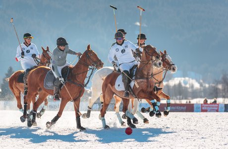 Snow Polo Spieler a, Pferd im Schnee
