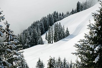 Skipiste 