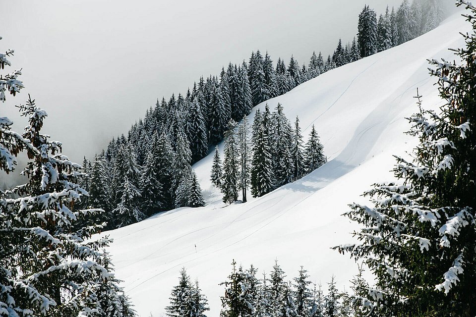 Skipiste 