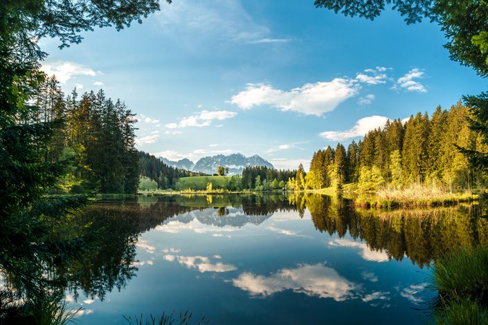 landscape of the Gieringer Weiher 