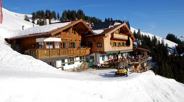 Melkalm mit Schnee