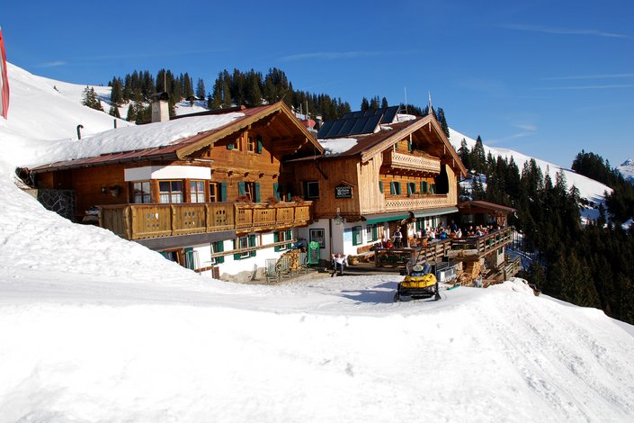 Melkalm mit Schnee