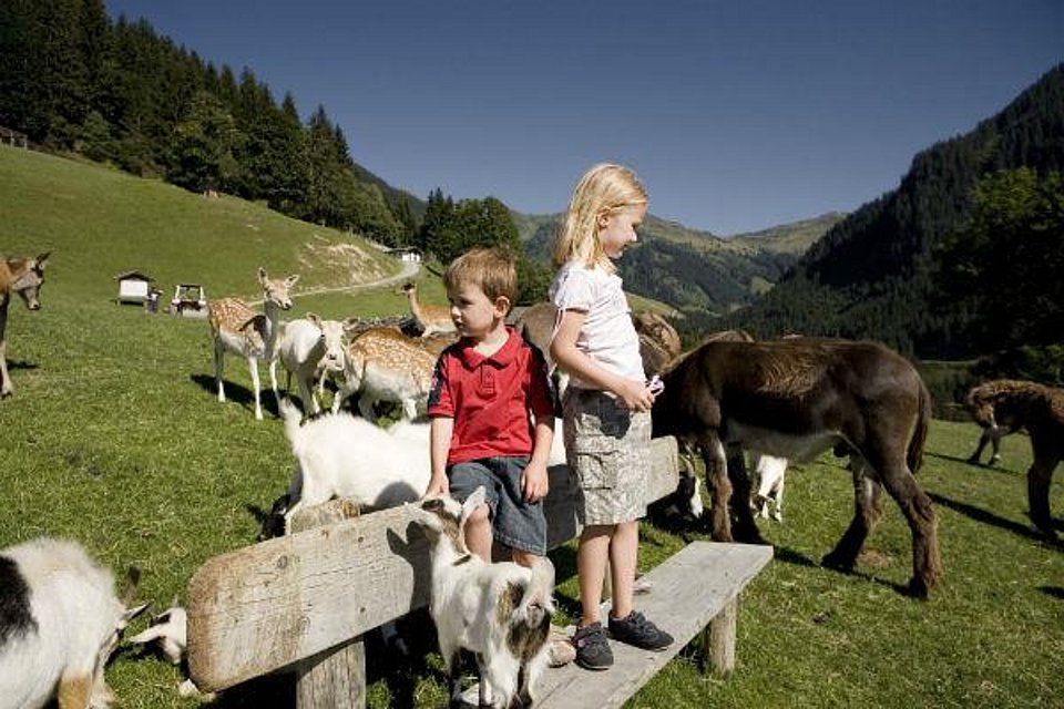 Kinder im Wildpark