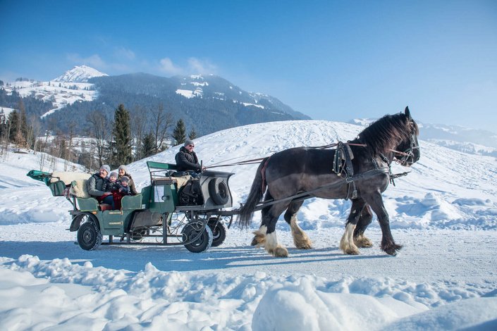Pferdekutsche im Schnee