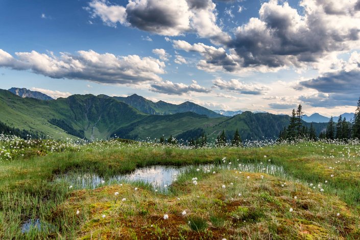 Bergpanorama