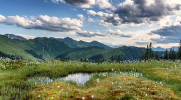 Bergpanorama