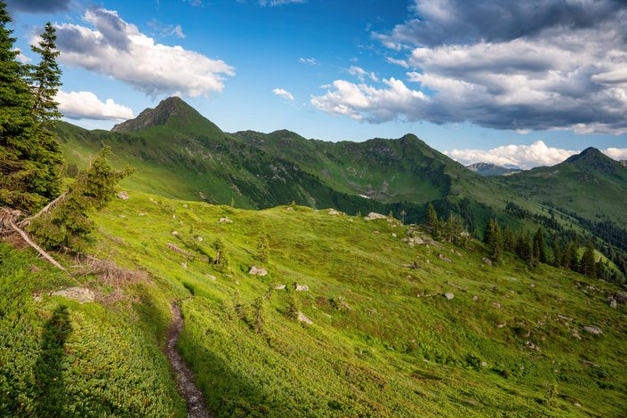 Bergpanorama