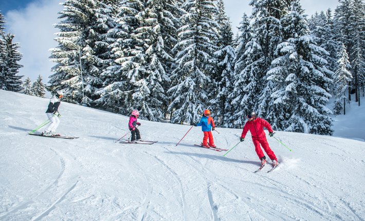 Skischulen