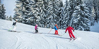 Skischulen