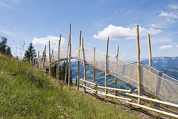 Suspension bridge
