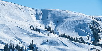 Ski map