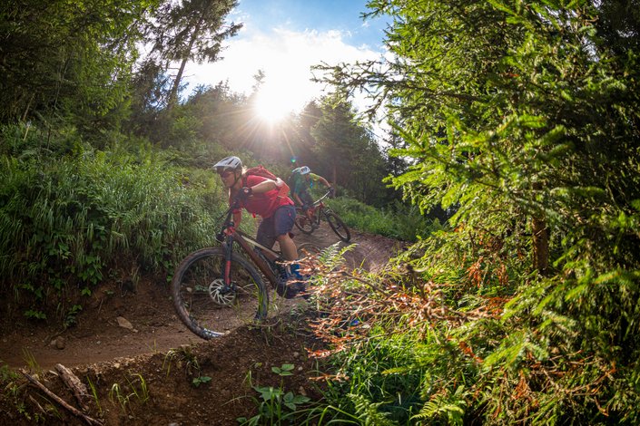 Bike Trail