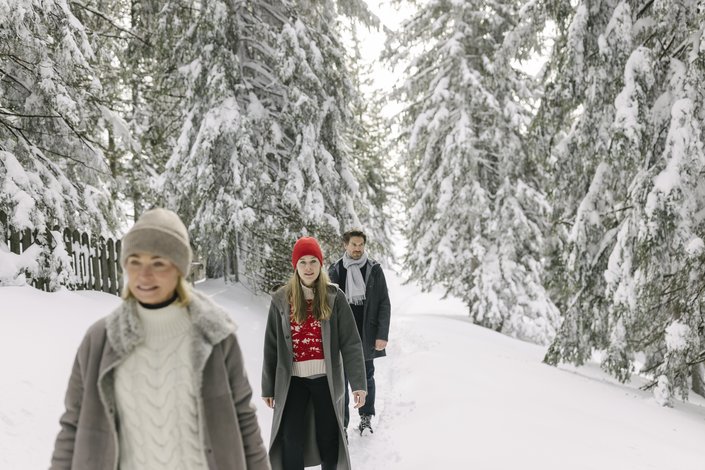 Gruppe beim Winterwandern am Hahnenkamm