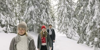 Winterwandern