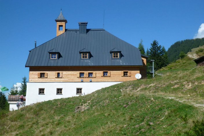 Kelchalm im Sommer