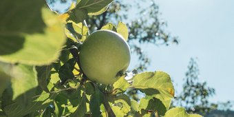 Digital im Sommer