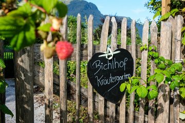 Kräutergarten 