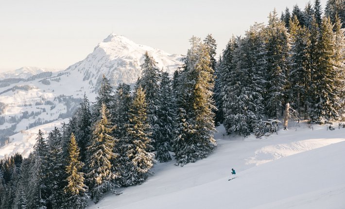 Skikarte