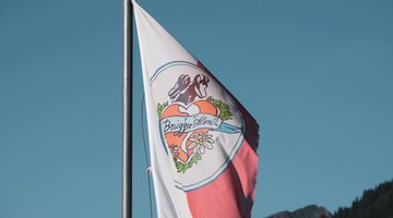 Fahne im Wind