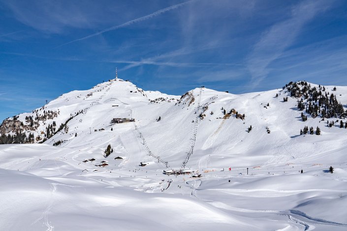 Schneelandschaft