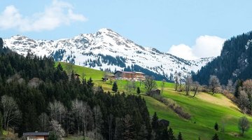 weise Bergspitze