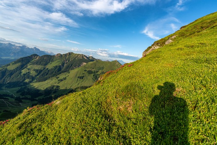 Bergpanorama