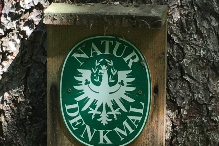 Schild mit Adler Symbol 