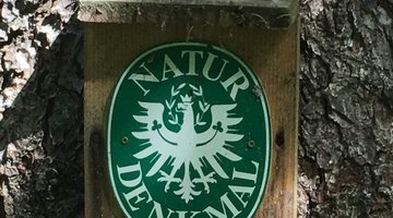 Schild mit Adler Symbol 