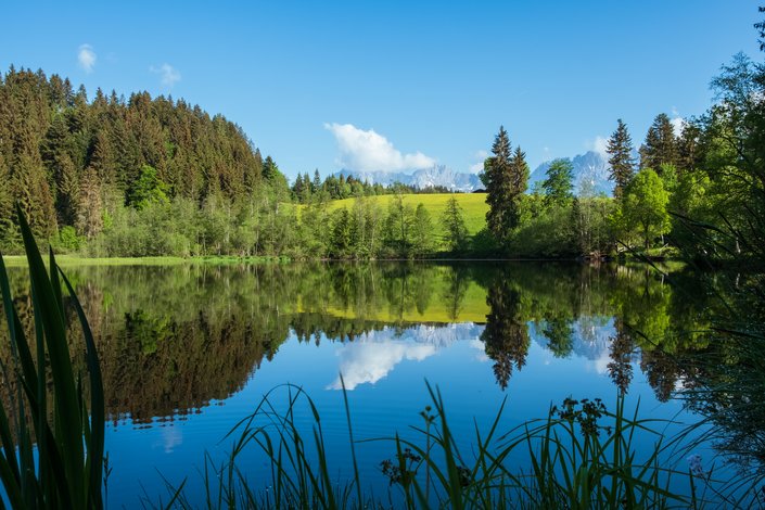 Gieringer Weiher