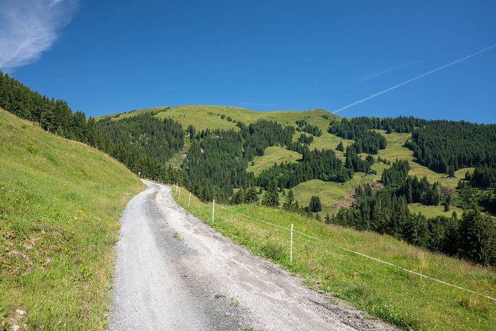 Weg am Berg