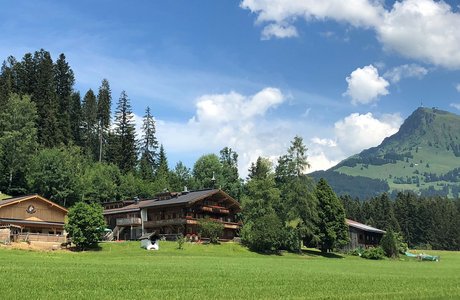 Wald am See