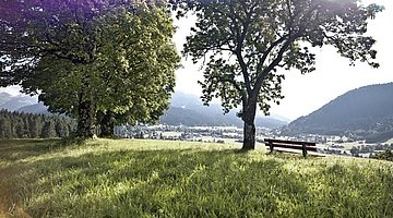 Schöner Blick auf Reith bei Kitzbühel