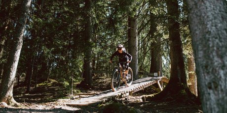 Bike Ticket online kaufen