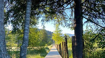 Stein Weg