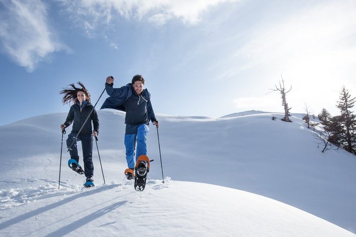 Wanderer im Schnee