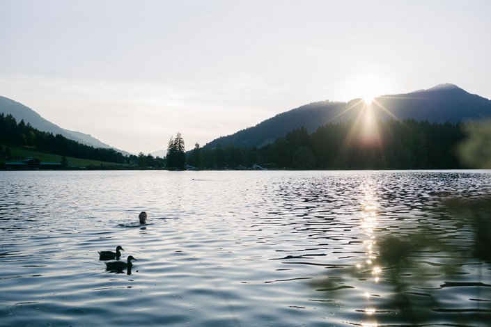 Schwarzsee mit Enten