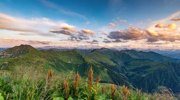 Bergpanorama