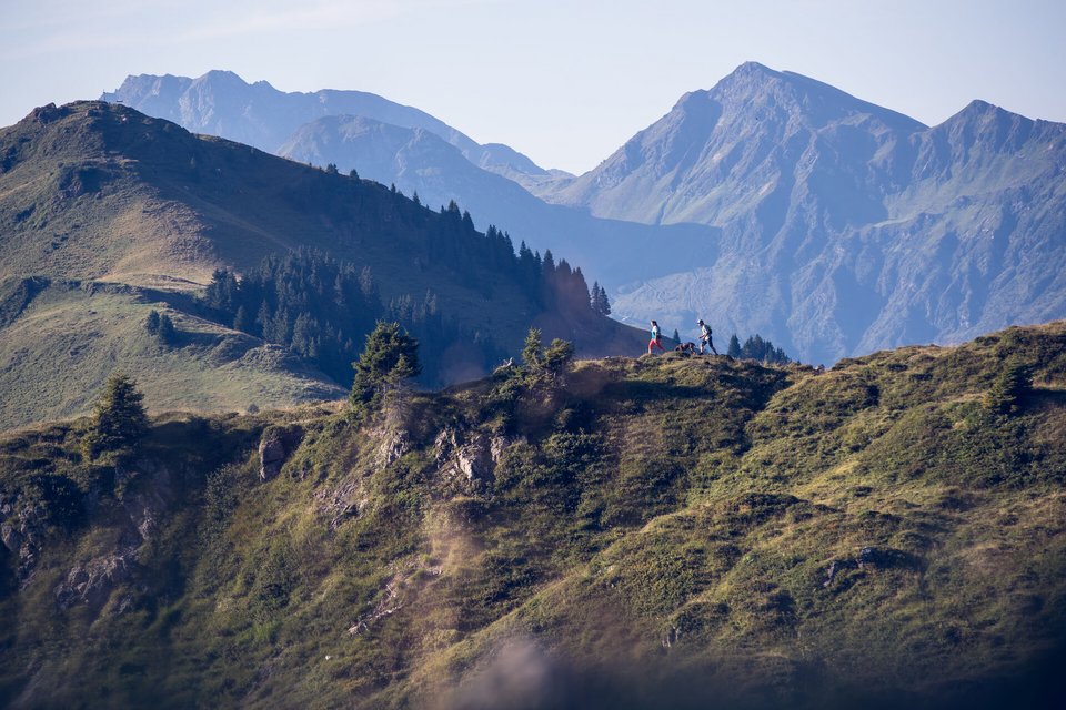 Wandern Aussicht
