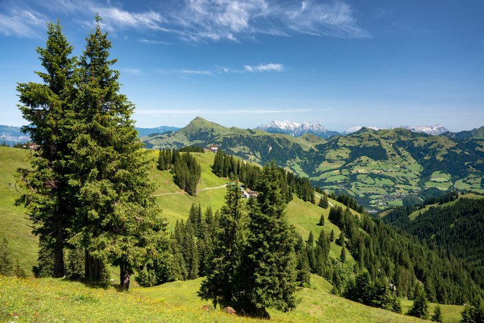 Bergpanorama