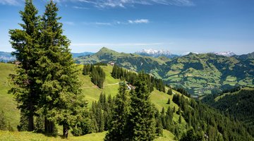 Bergpanorama