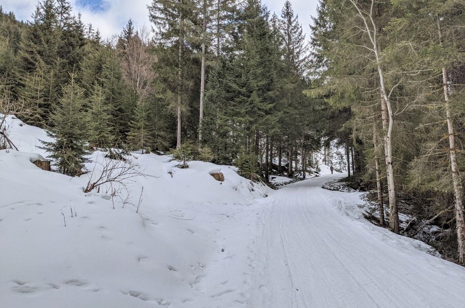 Rodelbahn-Kelchalm-im-Winter.jpg