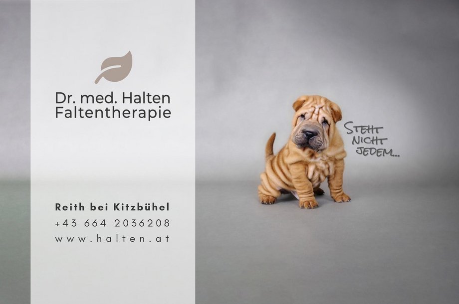 Halten-Falten.jpg