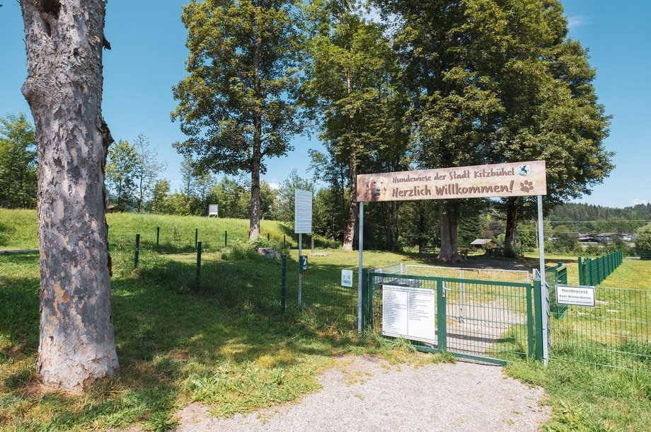 Hundewiese.jpg