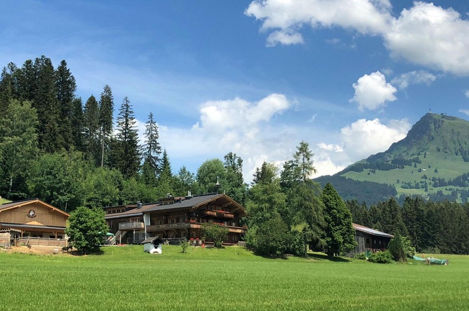 Wald-am-See.jpg