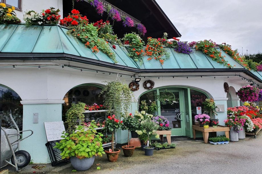 Blumen-Vitez.jpg