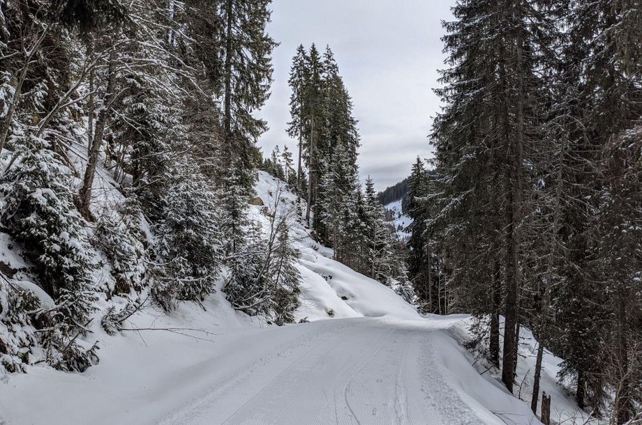 Winterlicher-Weg-zur-Trattenbachalm.jpg